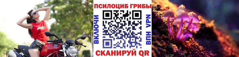 shop формула Мирный Галлюциногенные грибы GOLDEN TEACHER