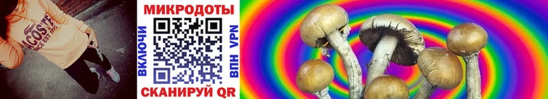 Галлюциногенные грибы Magic Shrooms Мирный