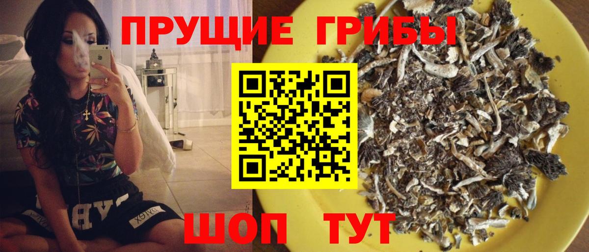 Мирный  Галлюциногенные грибы мицелий  цены наркотик  Вход с VPN 